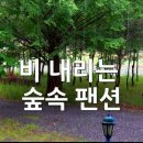 영월힐링숲펜션 이미지