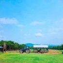 용인목장 이미지