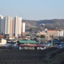 임실읍사무소 이미지