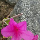 묘산초등학교 이미지