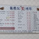 울릉도꽃새우 이미지