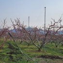 이재수한의원 이미지