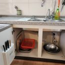 탐스럽개 이미지