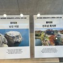 세븐일레븐 진주골든튤립 이미지