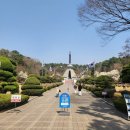 충혼탑 | 창원 충혼탑 목련꽃 만개 실시간 방문후기
