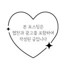 주식회사 헬리오드