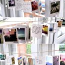 케이에스피뉴스