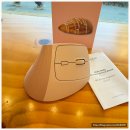 OP PC | 쿠팡 인기템 지클릭커 무소음 마우스 후기, 책상 위 인생 마우스 찾았어요!