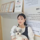 더 뷰티 독 이미지