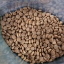 그로우펫 이미지