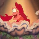 스시판다 이미지