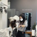 헤어살롱 지숙스럽다 이미지