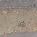 옥산메디칼 이미지