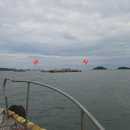 당진호스릴-31 | 당진 장고항 초보 낚시러 우럭 낚기 - 그린좌대 이용 후기