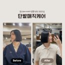 빅토리헤어샵 - 양천구 화곡로 84 | 대치동 한티역 미용실 추천 준오헤어 대치점 유쾌 예쁨 매직 시술 후기(feat. 황정민원장님)