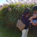 억새풀농장 이미지