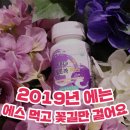 이더블유에스