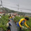 사회적협동조합장애인동행