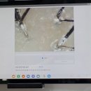 헤어스파자연체감 | 서울 두피케어 샵 동성제약이 만든 '헤어스파 자연체감'에서 두피 스케일링 시원하게 받은 후기, 가격 안내
