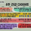 요가(기초야간) | 스위치온 다이어트 효과적인 식단과 운동법, 영양제까지 건강하게 감량하기