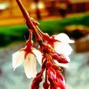 중앙하수처리장 이미지