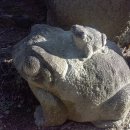 복두꺼비 이미지