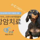공감+동물의료센터 이미지