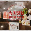 불이아속초점