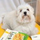 동그랑댕 이미지