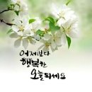 가보 이미지