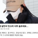 모텔씨 티스토리