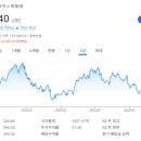 돌고래홀딩스 | &lt;투자, 진화를 만나다&gt; 수렴진화편