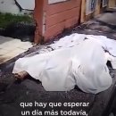 "거리에 시신 뒹굴어도 거둘 사람 없어요" 코로나가 덮친 남미 에콰도르의 눈물 이미지