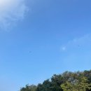 동천수목원
