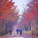 만추