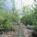 성찬농원 이미지