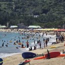 진하해수욕장 이미지