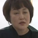 별빛미술관 Daum카페