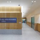 포레스트병원 이미지