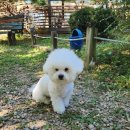 니멍내멍 이미지