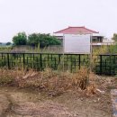 용담동 선사무덤유적 이미지