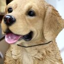 대도공인중개사사무소 이미지