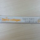 엠에스엠 비타민 코리아