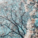 이화여인숙 이미지