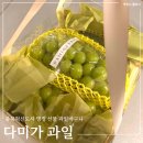 샤인빌딩 | 내돈내산 명절 선물 충북혁신도시 다미가과일 추석 샤인머스켓 바구니 포장 솔직 후기