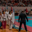 대망(태권도) 이미지