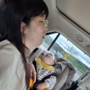 하늘연못팬션 이미지