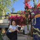 물고기의눈물이호수로 | 튀르키예 극성수기 6박 8일 여행 후기 - 결혼 전 모녀 여행 : 엄마 터키 5월옷 어덯게 입어