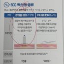 심낭골 네이버블로그