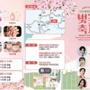 가야금 | 전주한옥마을한복가야금체험 분위기 물씬! '달디달아' 2026 옥정호 벚꽃축제 공연 후기 🌸
